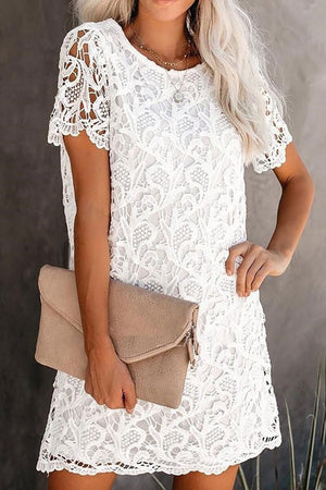Short White Lace Dress Short Sleeves