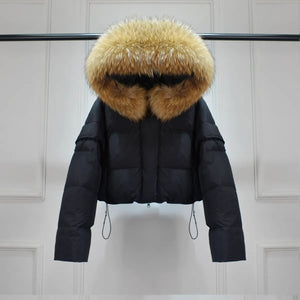 Motta Short Puffer Jacket